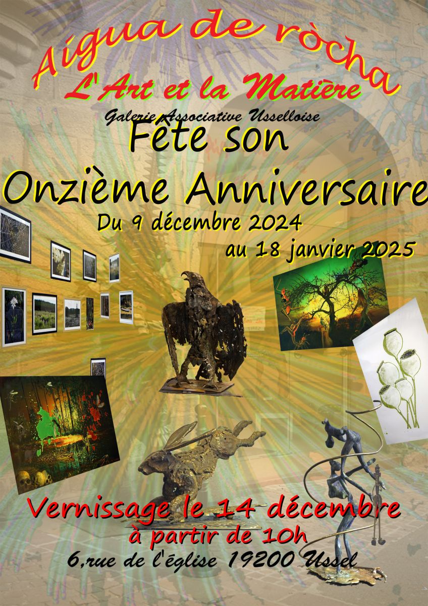 Galerie Aigua de Rocha fête son onzième annive ...