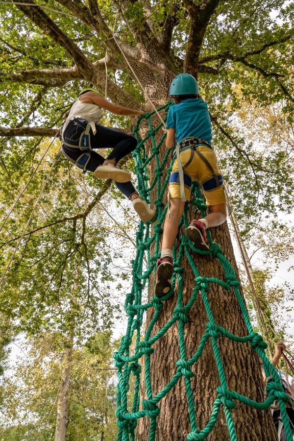 Activité grimp'arbre encadrée à la Base Sports ...