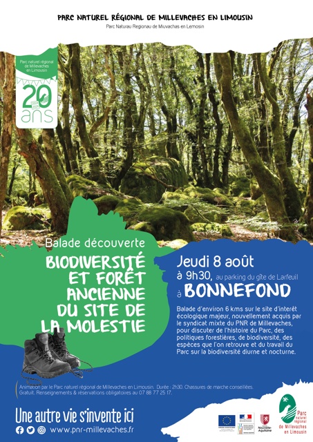 Biodiversité et forêt ancienne au site de La M ...