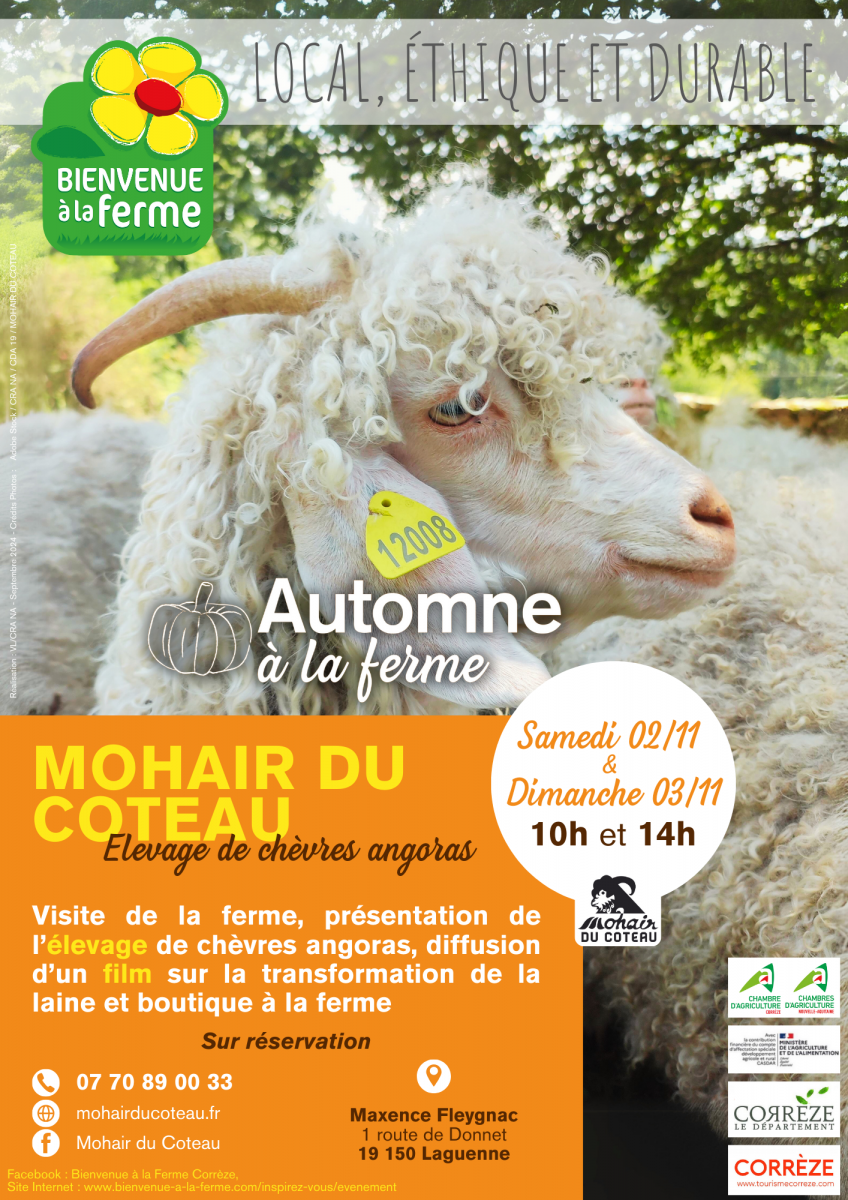 Automne à la Ferme - Mohair du Coteau