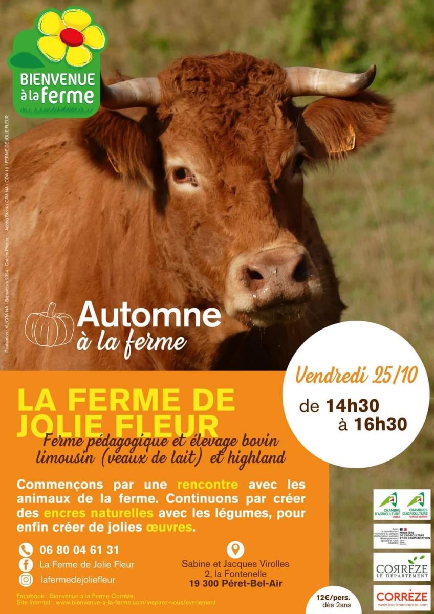 Automne à la ferme