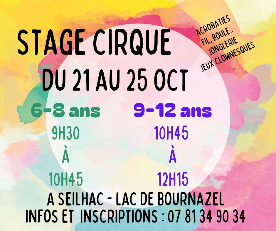 Stages de cirque