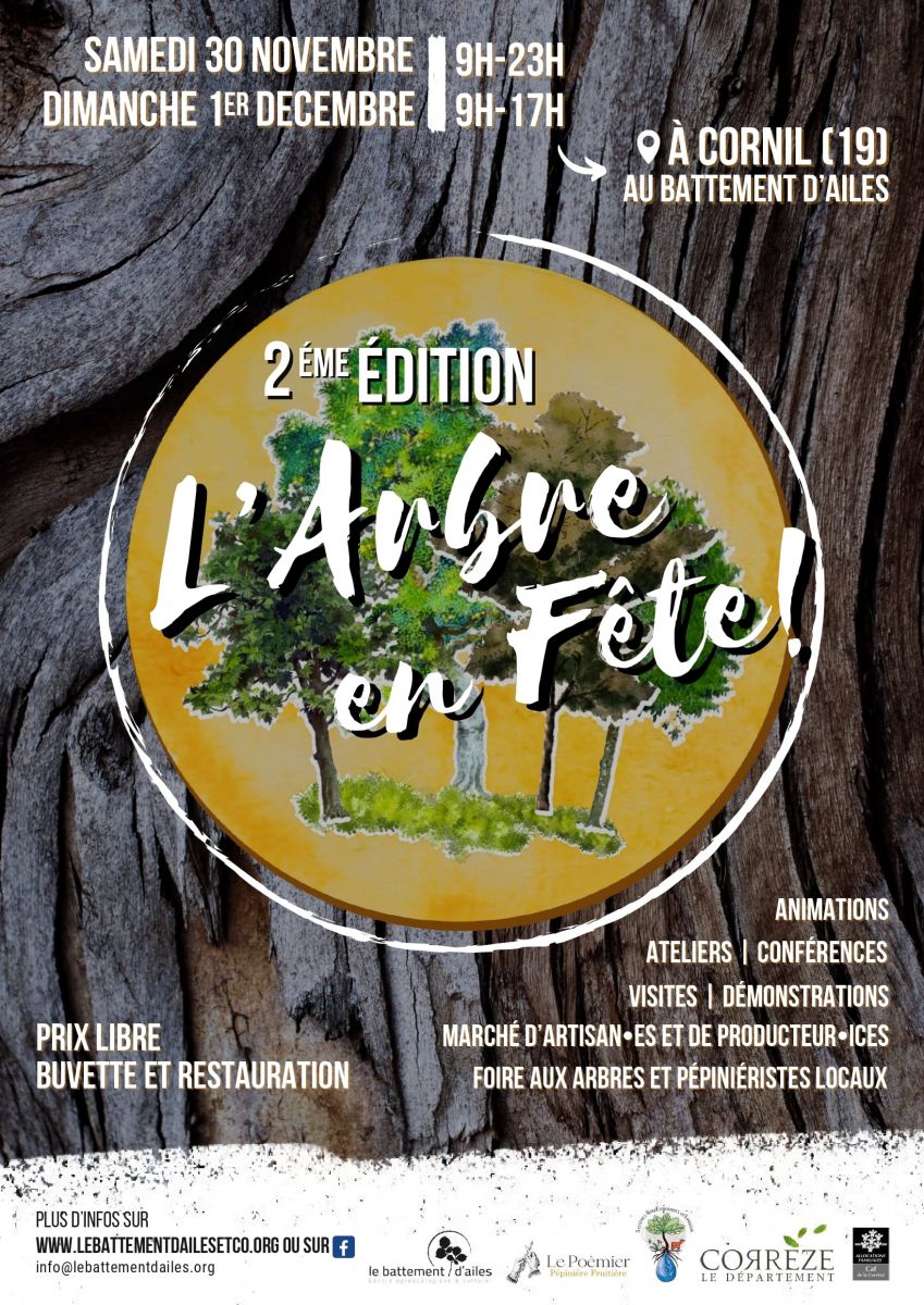 L'arbre en fête