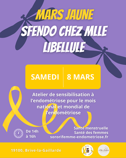 Atelier de sensibilisation à l'endométriose et ...