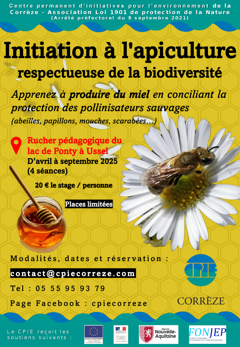 Initiation à l'apiculture