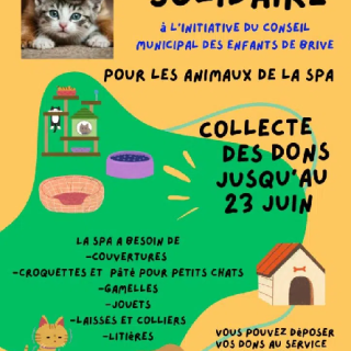 Collecte solidaire pour les animaux de la SPA