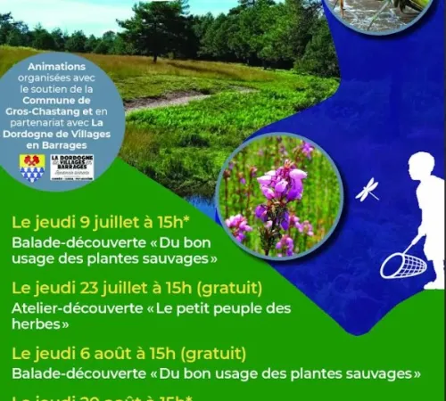 Balade découverte "Du bon usage des plantes sauvages"