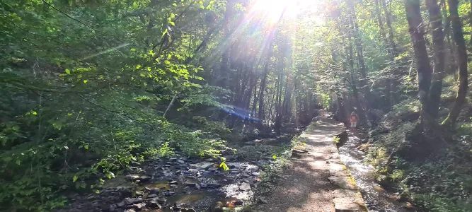 Canal des Moines d'Aubazine