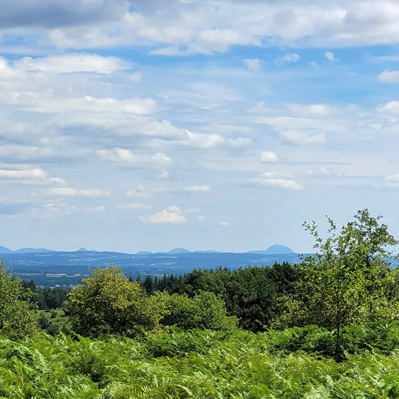 La Forêt des Agriers