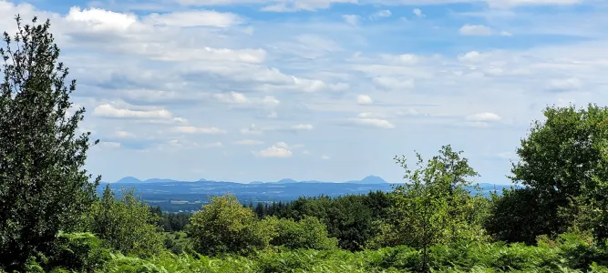 La Forêt des Agriers