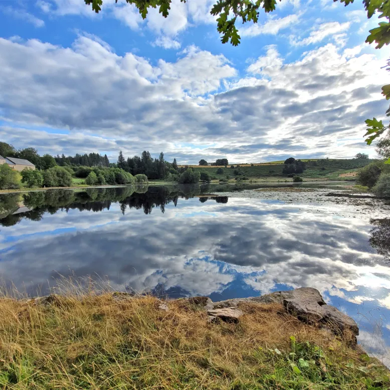 Etang des Oussines