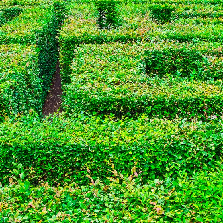 The Colette Gardens and its giant labyrinth