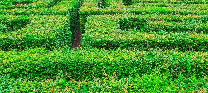 The Colette Gardens and its giant labyrinth