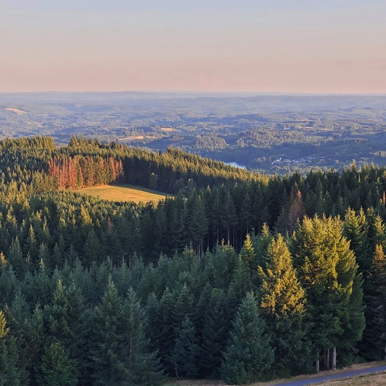 Millevaches Regional Nature Park in Limousin
