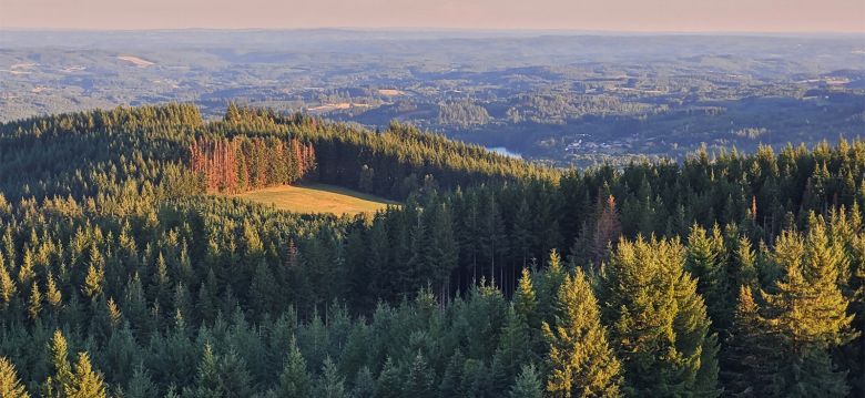 Millevaches Regional Nature Park in Limousin