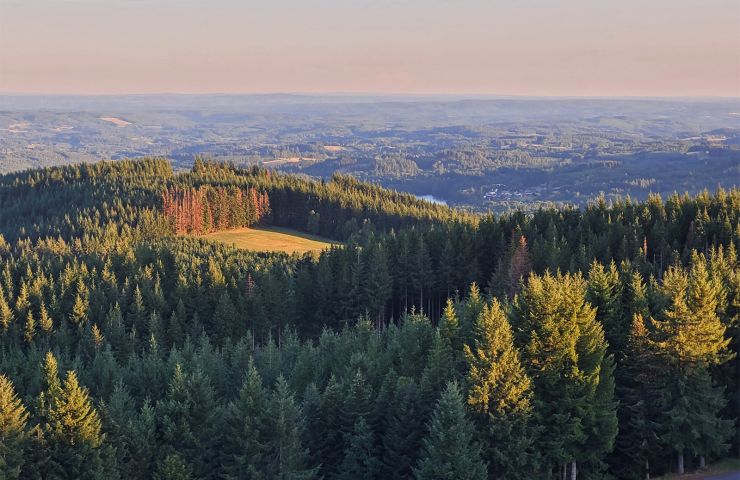 Millevaches Regional Nature Park in Limousin