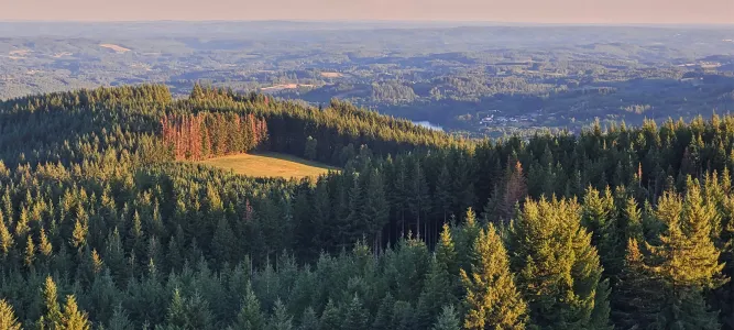 Millevaches Regional Nature Park in Limousin