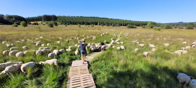 Peat bog of Longeyroux