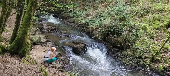 Waterfalls of Murel