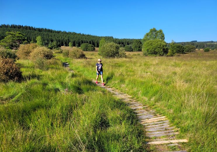 Walk in the Peat bogs of Longeyroux